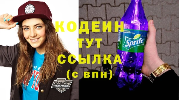 мдпв Михайлов