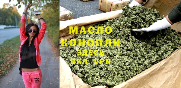 крисы Надым