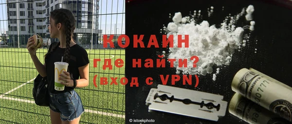 мдпв Михайлов