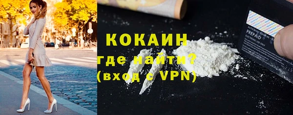 мдпв Михайлов