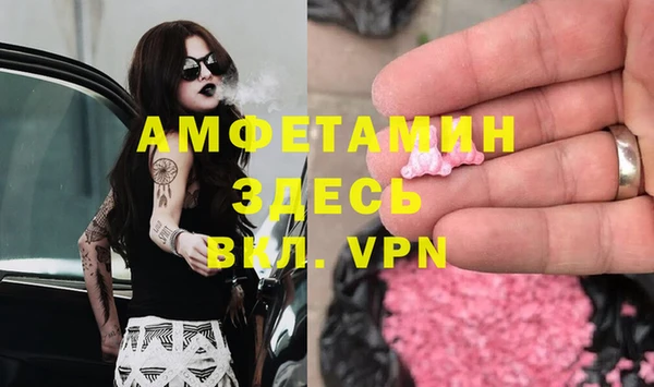 крисы Надым