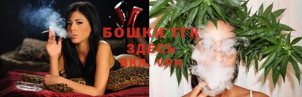 мдпв Михайлов
