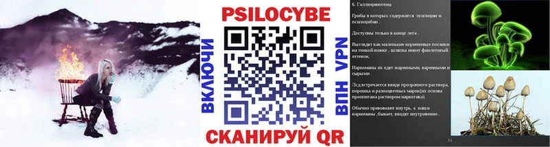 Псилоцибиновые грибы Cubensis  Купить закладки  Малаховка 