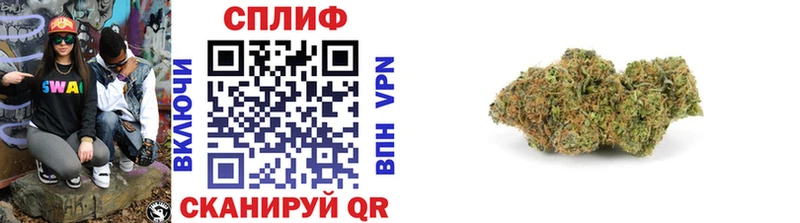 Купить закладки  Малаховка  Конопля гибрид 